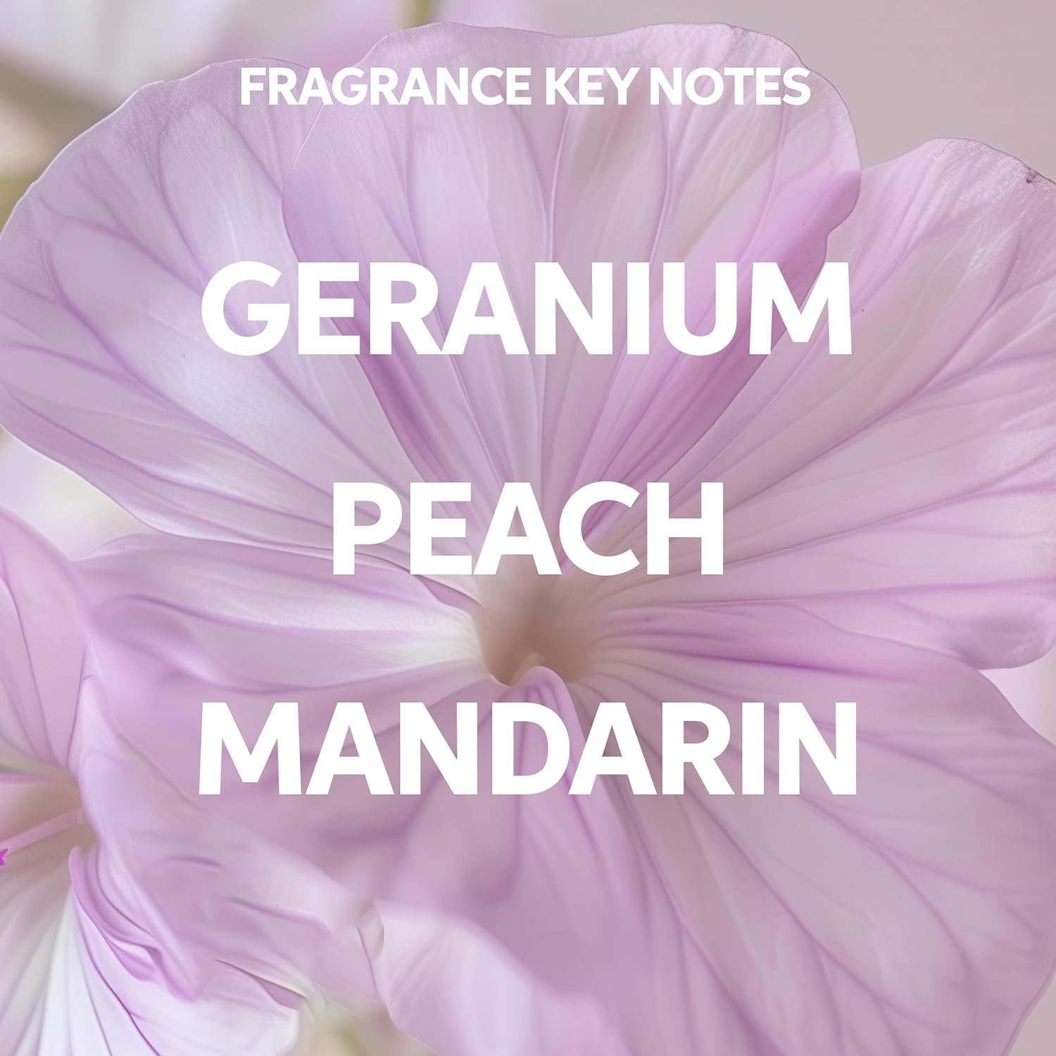 Wella Elements – Renewing Shampoo 250ml - Image 7