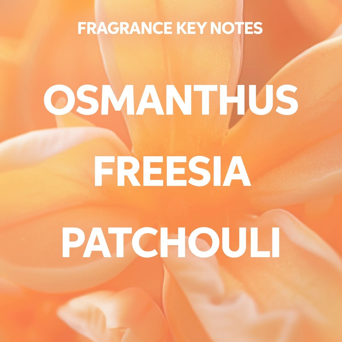 Wella Invigo Nutri-Enrich – Deep Nourishing Shampoo 250ml - Image 3